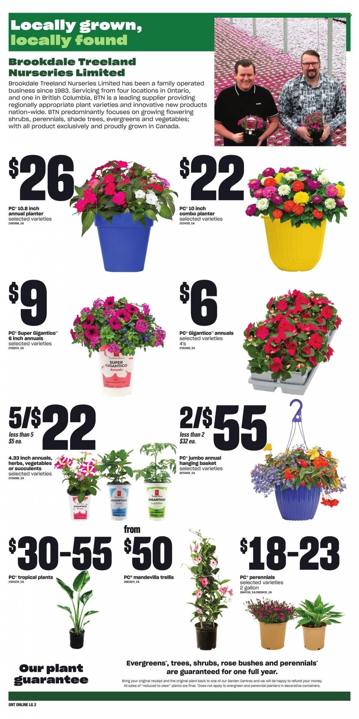 Loblaws flyer - June 01, 2023 - June 07, 2023. Page 9
