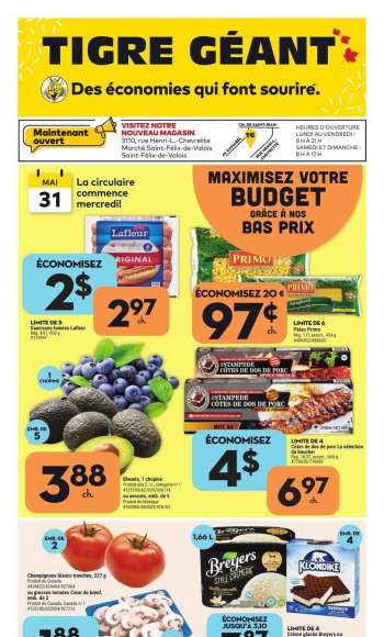 Giant Tiger Flyer - May 31, 2023 - June 06, 2023.