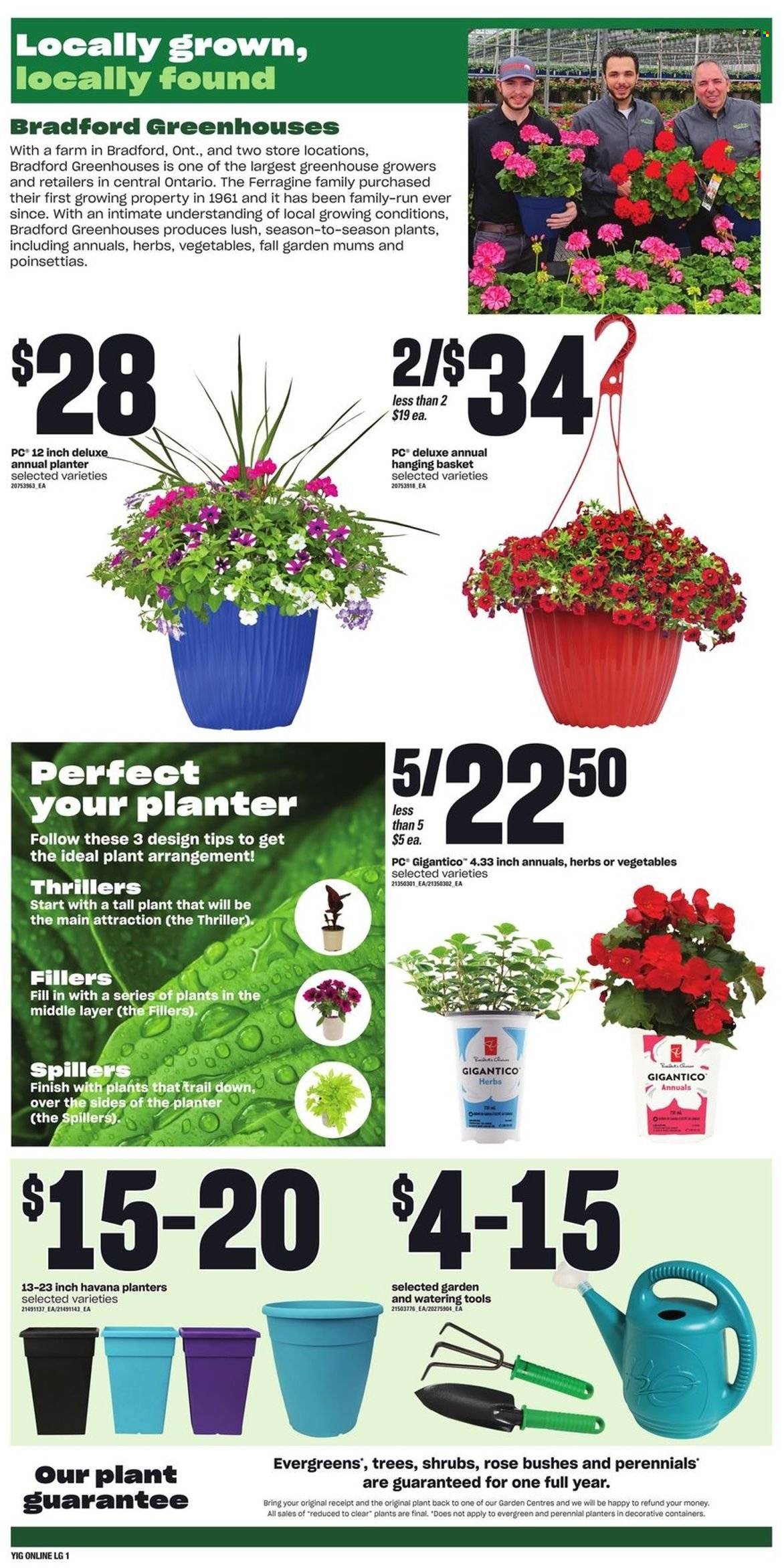 Independent flyer - June 08, 2023 - June 14, 2023. Page 7