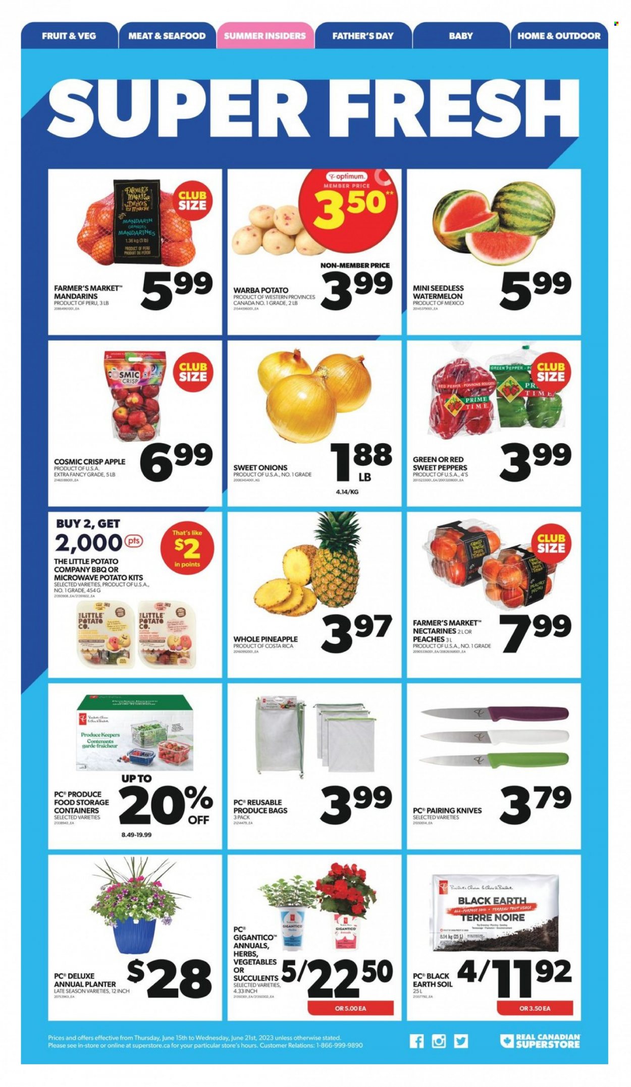 Real Canadian Superstore flyer - June 15, 2023 - June 21, 2023. Page 2