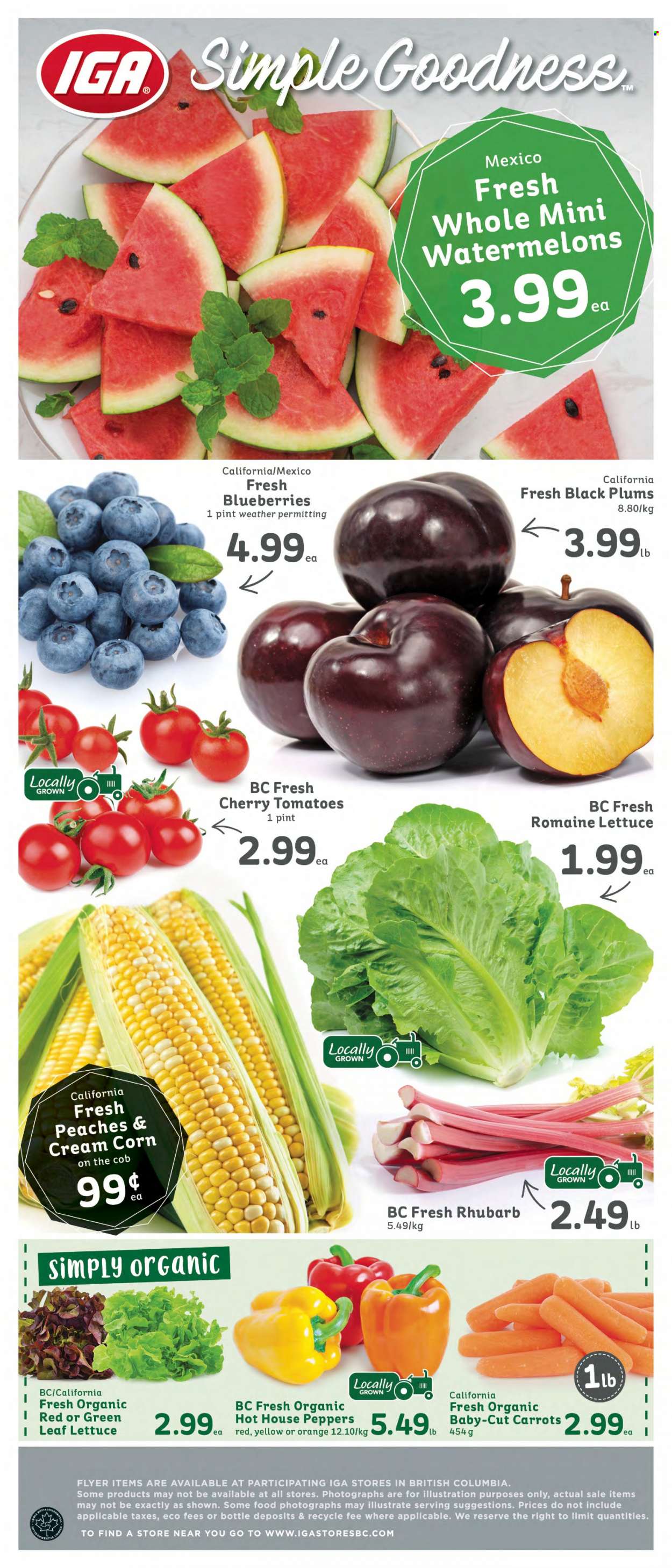 IGA Simple Goodness flyer - June 16, 2023 - June 22, 2023. Page 6