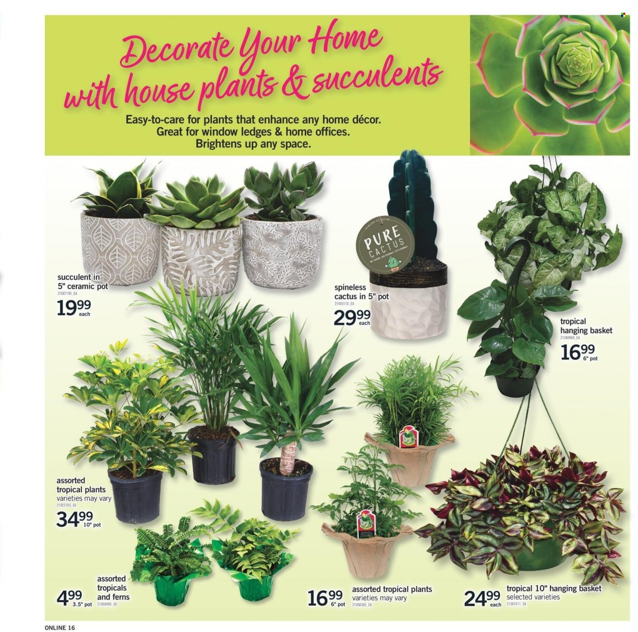 Fortinos flyer - July 13, 2023 - July 19, 2023. Page 15