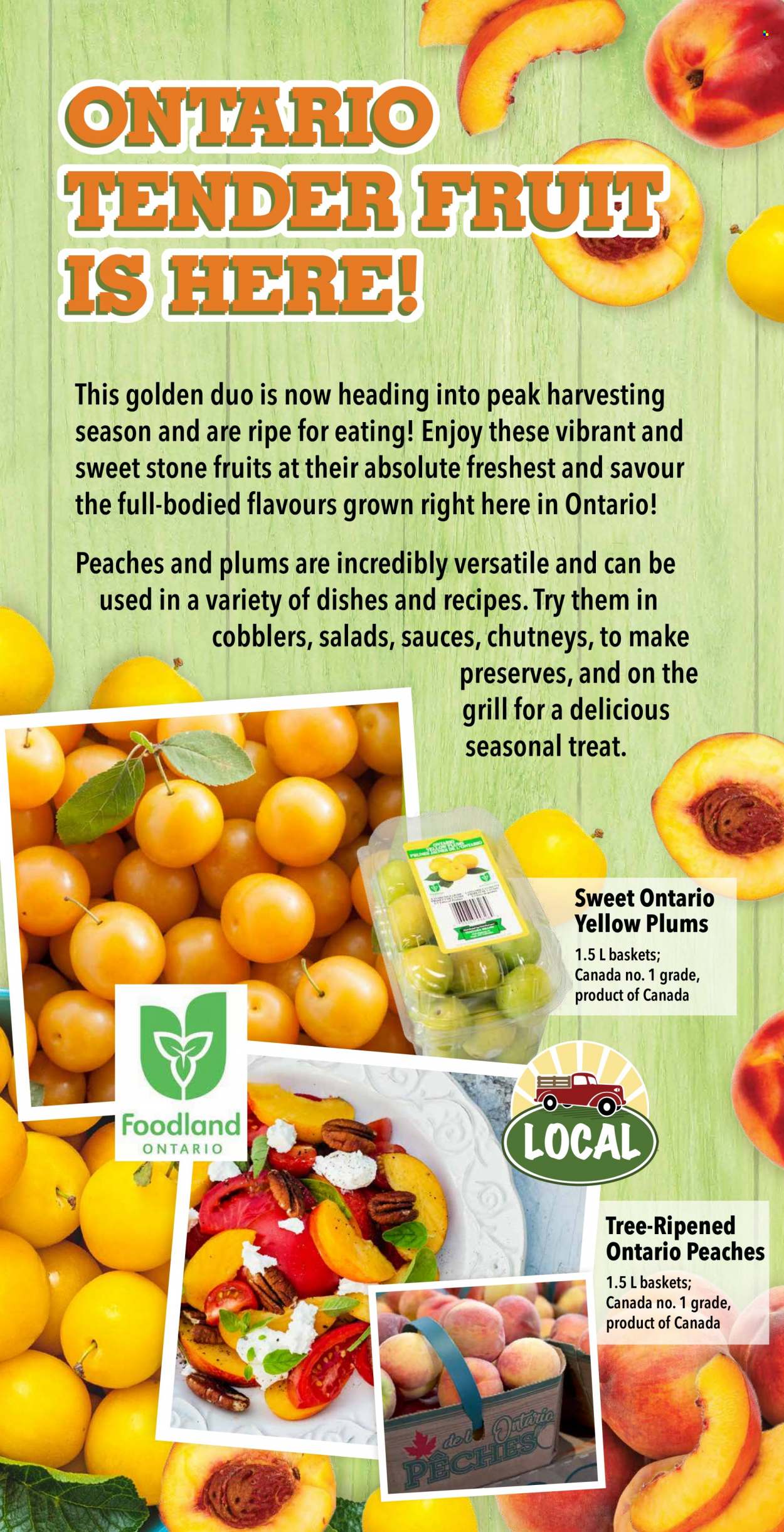 Farm Boy flyer - July 27, 2023 - August 02, 2023. Page 4