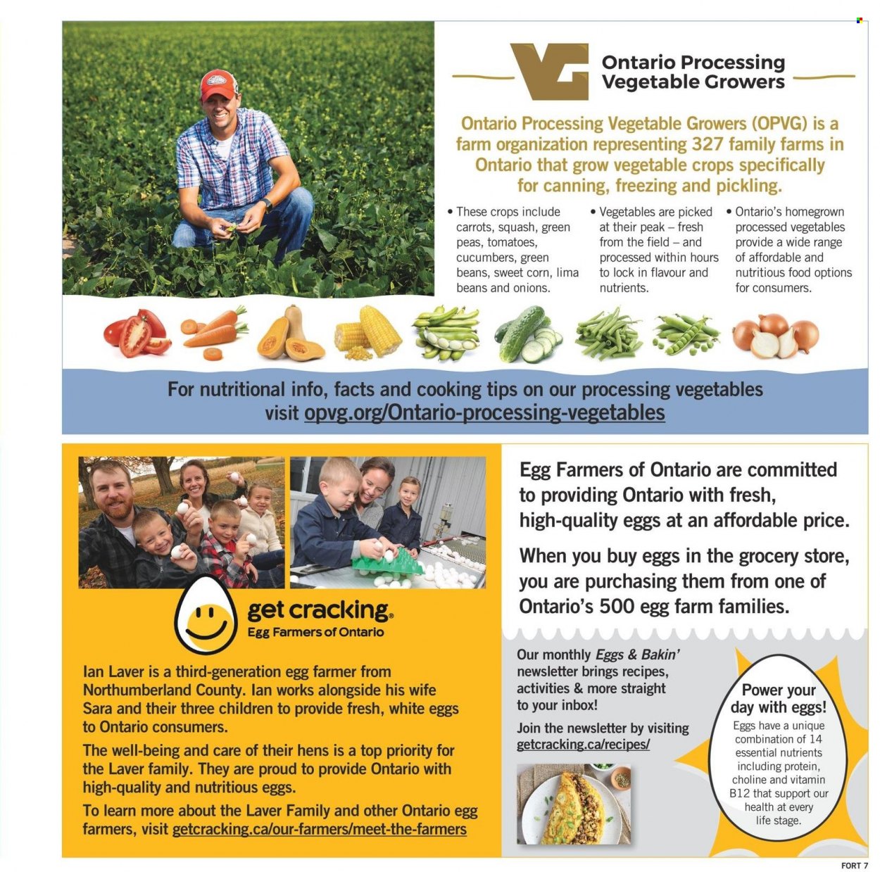Fortinos flyer - July 27, 2023 - August 02, 2023. Page 8