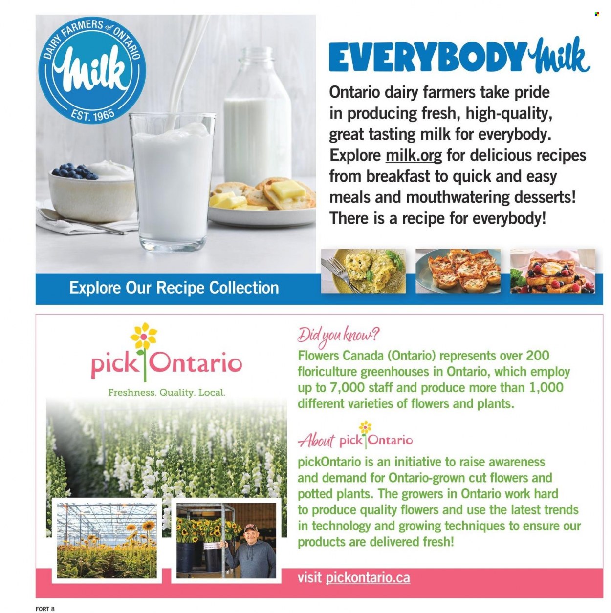 Fortinos flyer - July 27, 2023 - August 02, 2023. Page 9