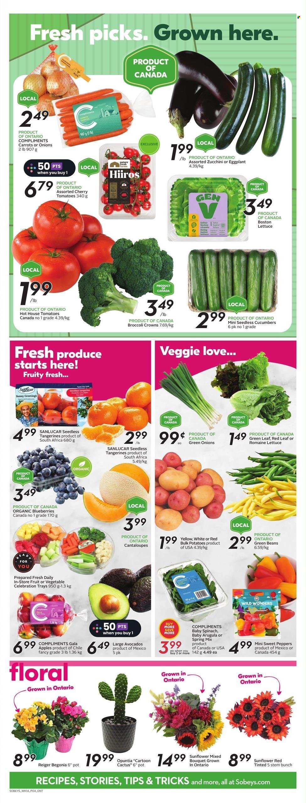 Sobeys flyer - August 03, 2023 - August 09, 2023. Page 7