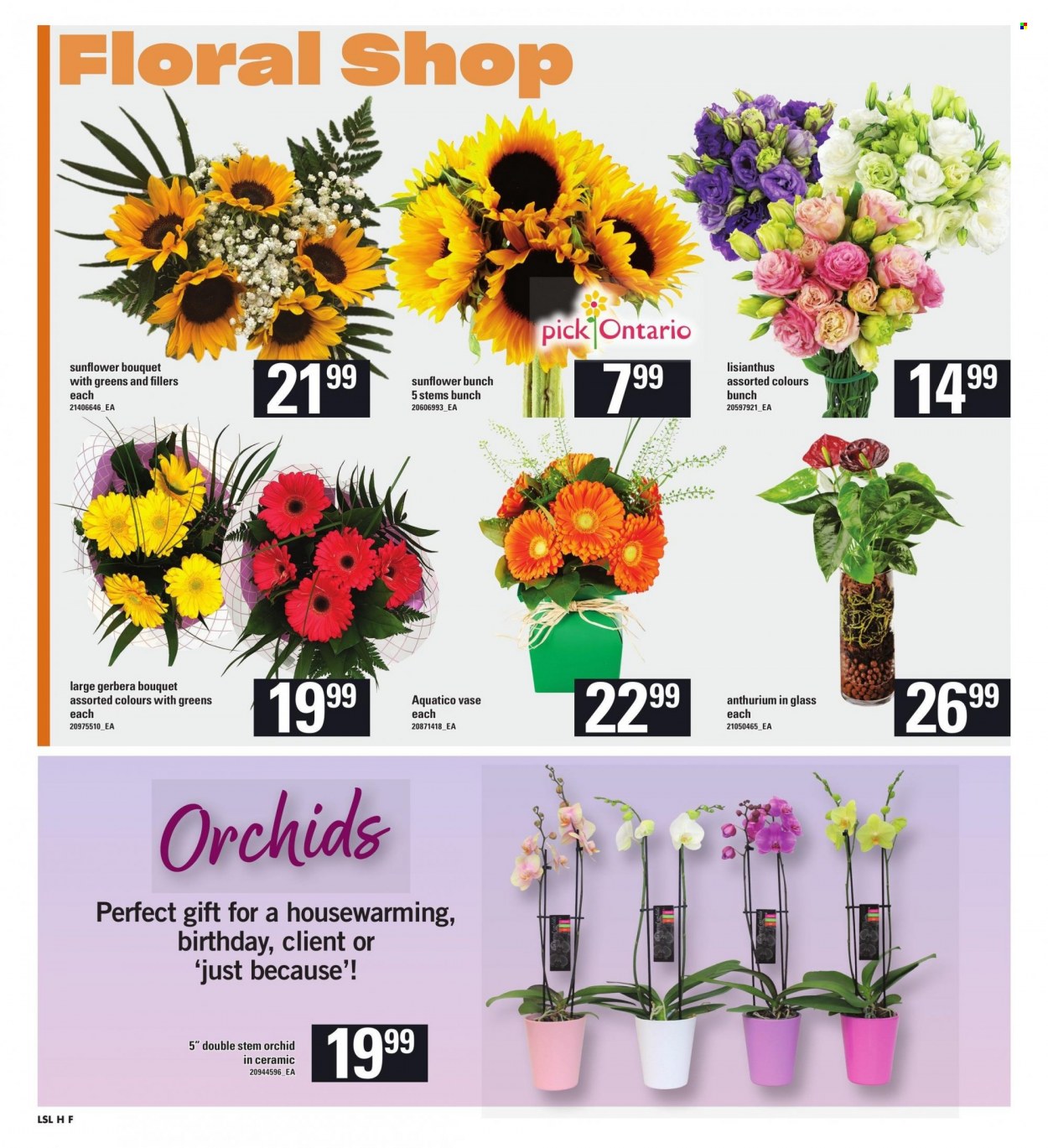 Loblaws flyer - August 03, 2023 - August 09, 2023. Page 10