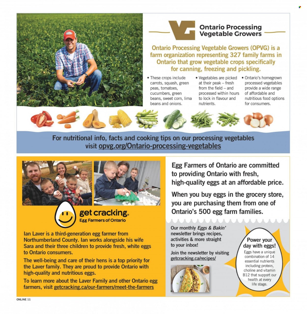Fortinos flyer - August 03, 2023 - August 09, 2023. Page 11