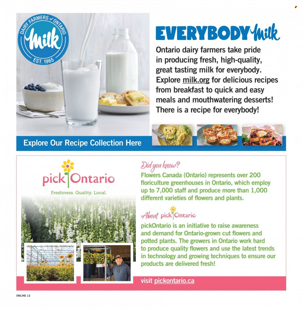 Fortinos flyer - August 03, 2023 - August 09, 2023. Page 12