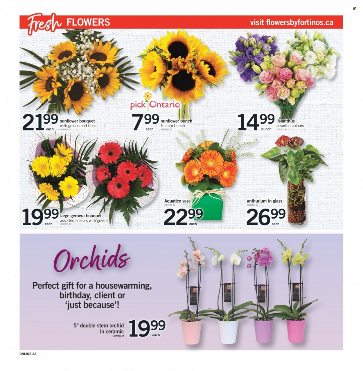 Fortinos flyer - August 03, 2023 - August 09, 2023. Page 21