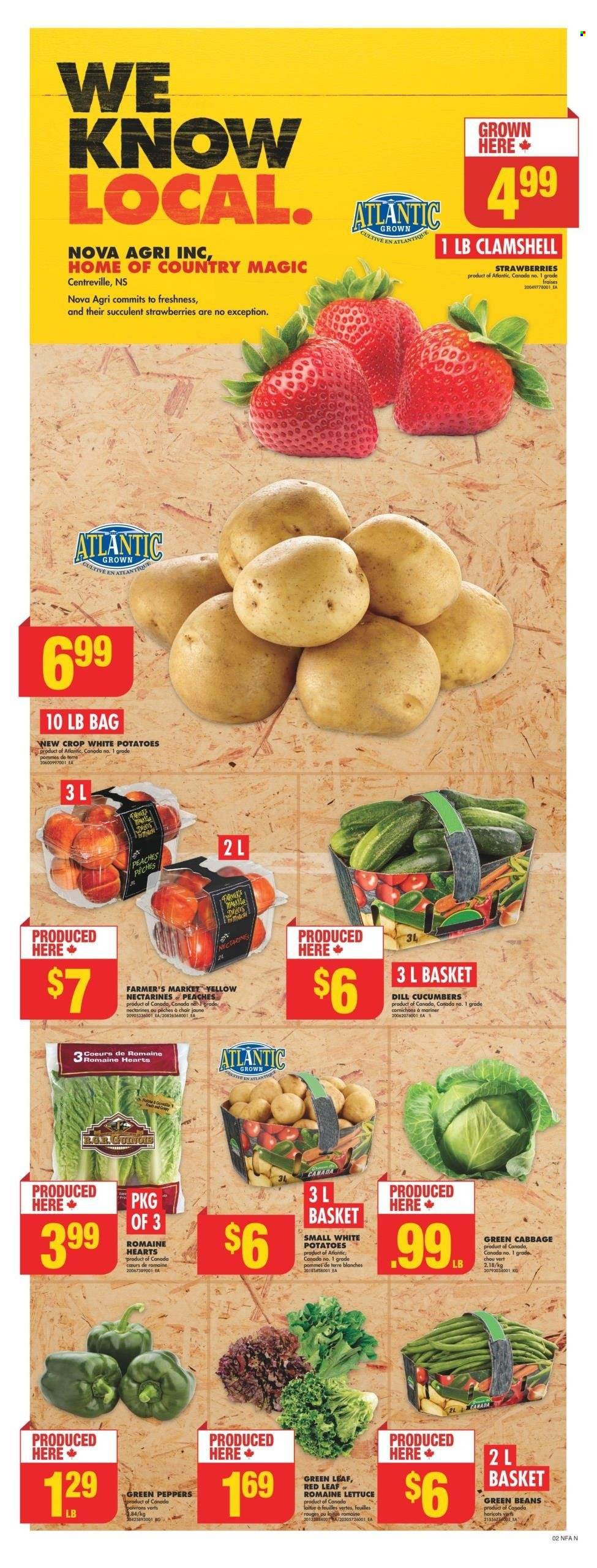 No Frills flyer - August 10, 2023 - August 16, 2023. Page 2