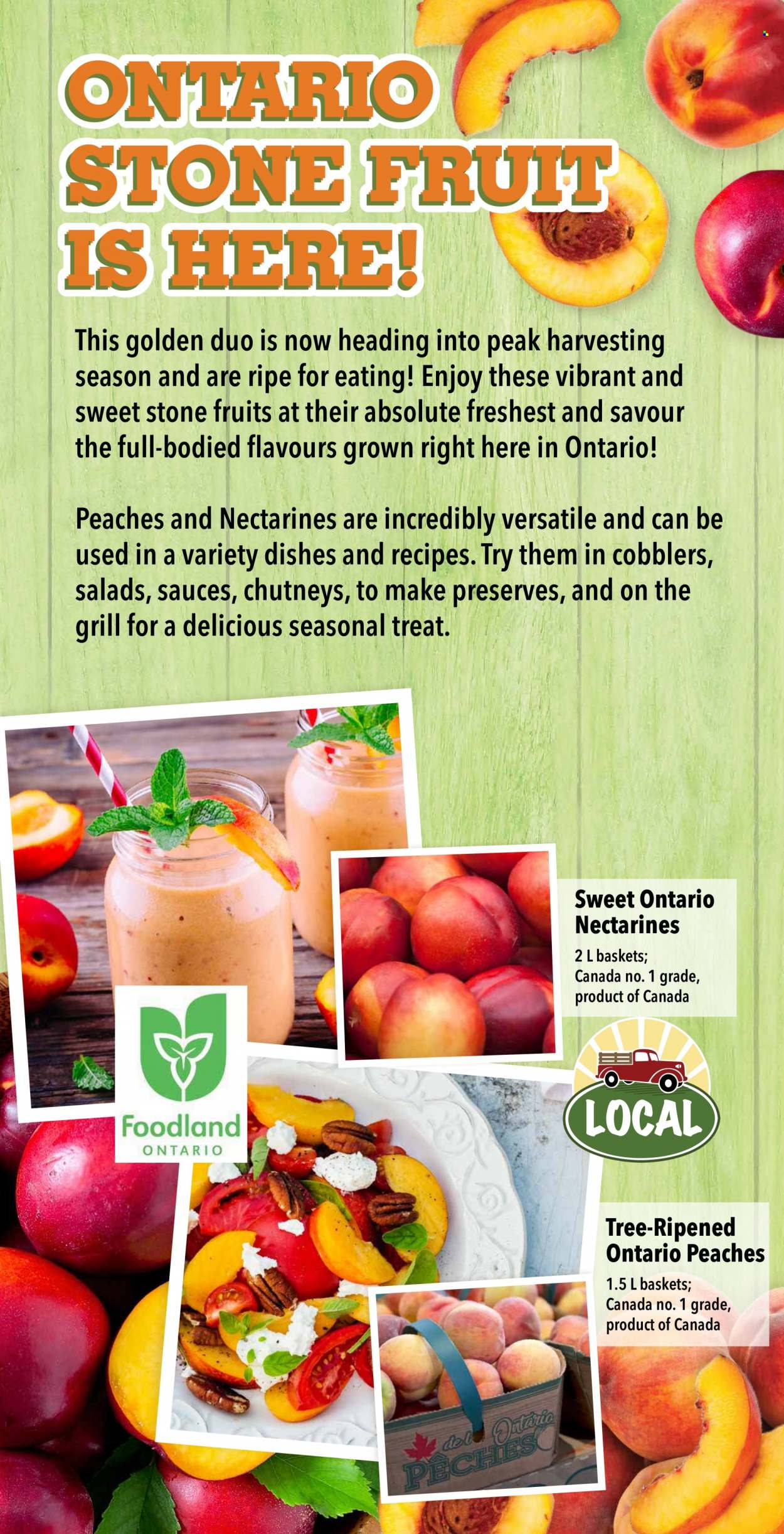 Farm Boy flyer - August 10, 2023 - August 16, 2023. Page 5