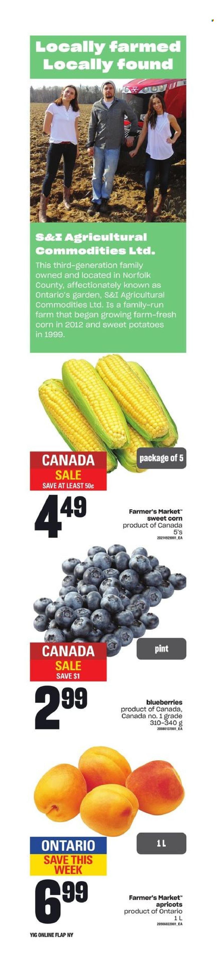 Independent flyer - August 10, 2023 - August 16, 2023. Page 12