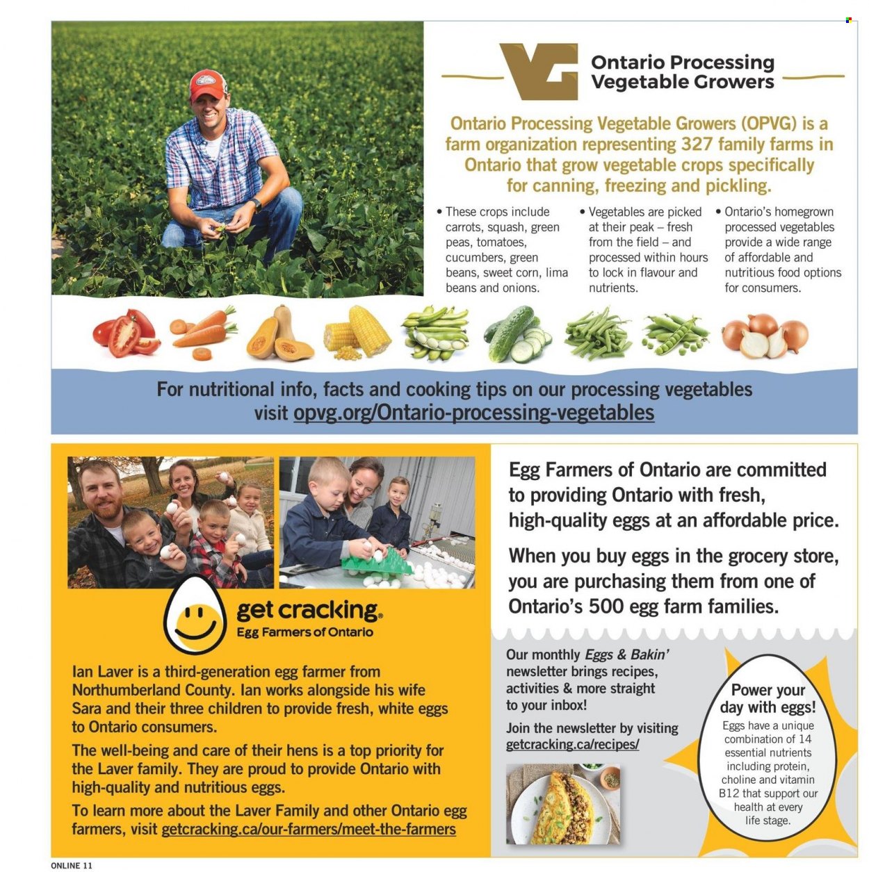 Fortinos flyer - August 10, 2023 - August 16, 2023. Page 11