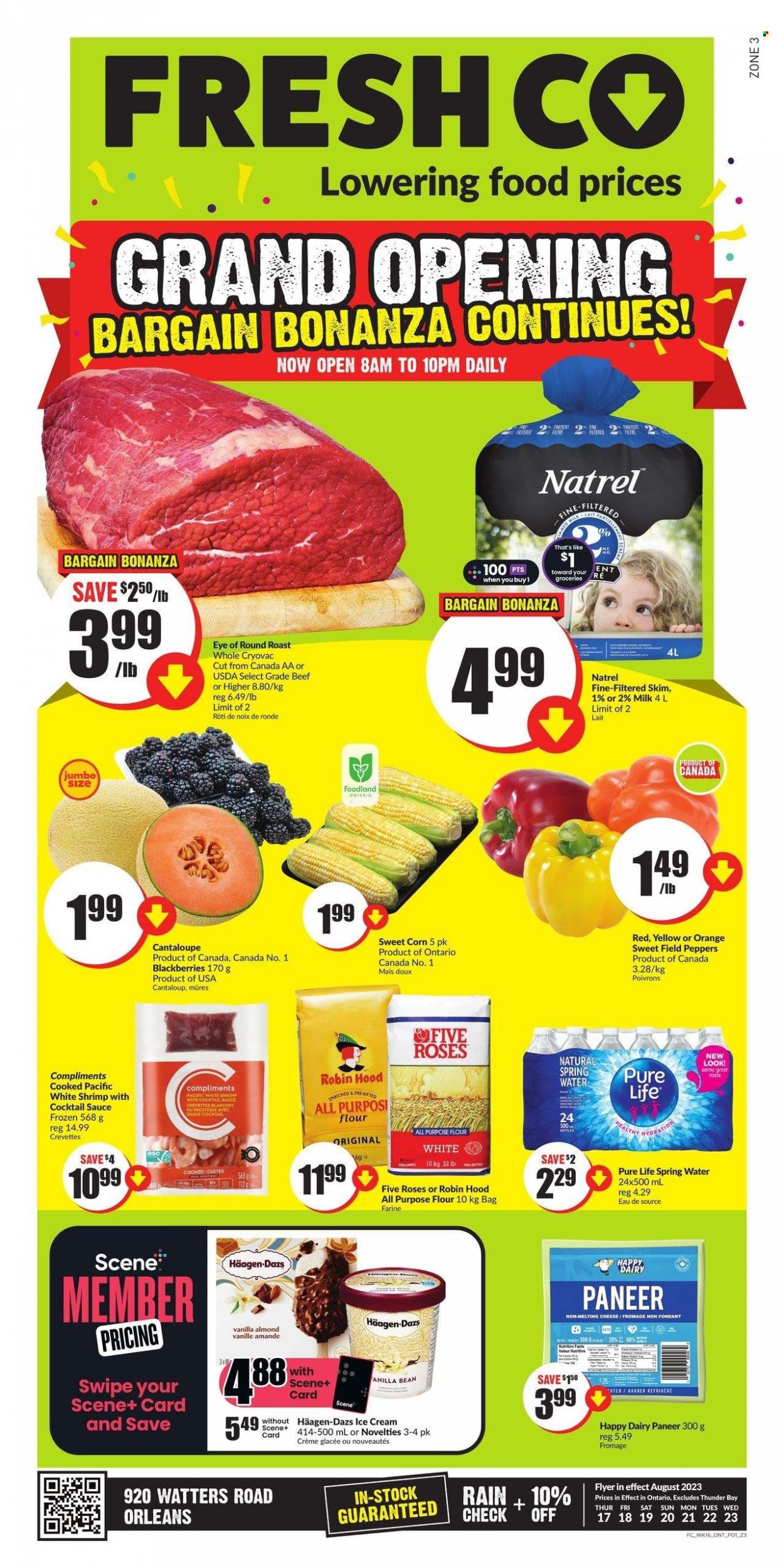 FreshCo. flyer - August 17, 2023 - August 23, 2023. Page 1