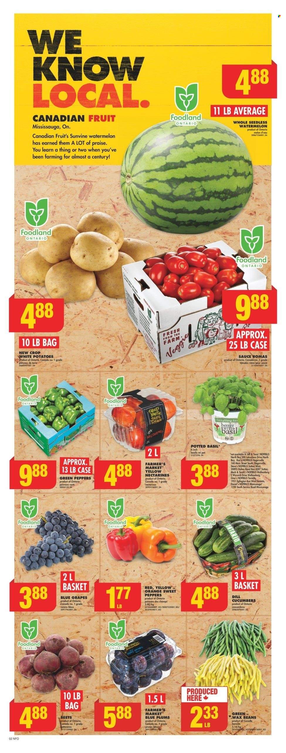 No Frills flyer - August 24, 2023 - August 30, 2023. Page 2