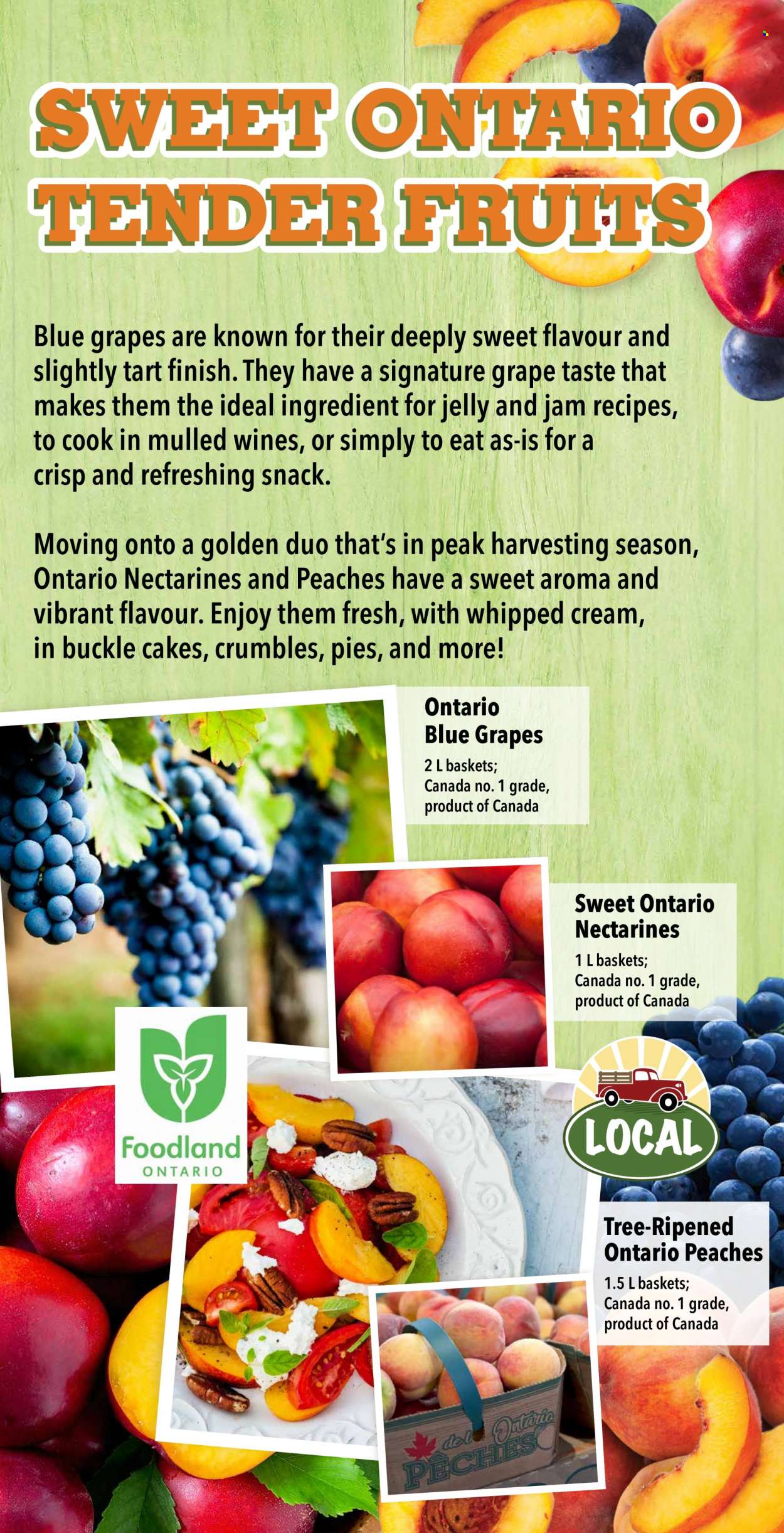 Farm Boy flyer - August 31, 2023 - September 06, 2023. Page 7