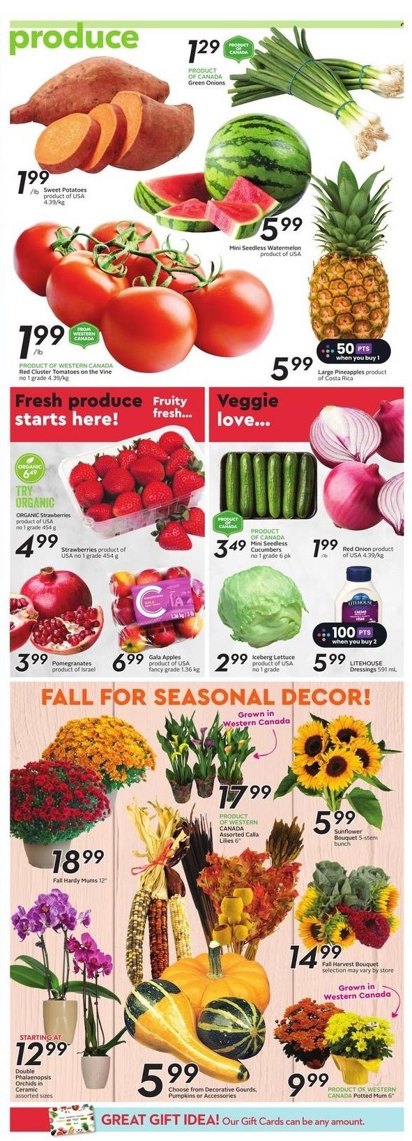 Circulaire Safeway - 07 Septembre 2023 - 13 Septembre 2023. Page 4