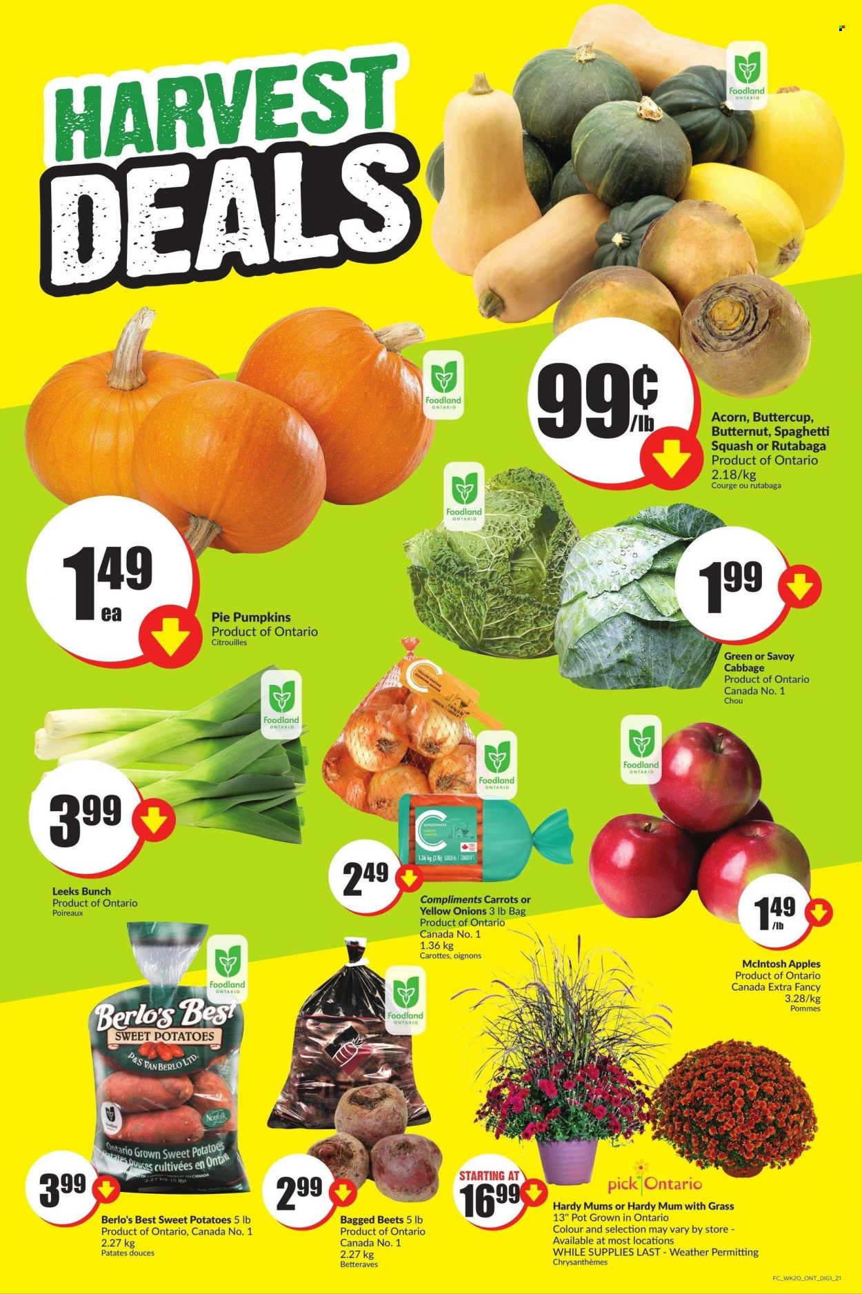FreshCo. flyer - September 14, 2023 - September 20, 2023. Page 11