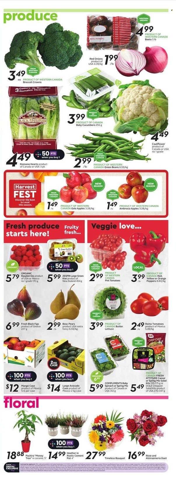 Circulaire Safeway - 21 Septembre 2023 - 27 Septembre 2023. Page 3