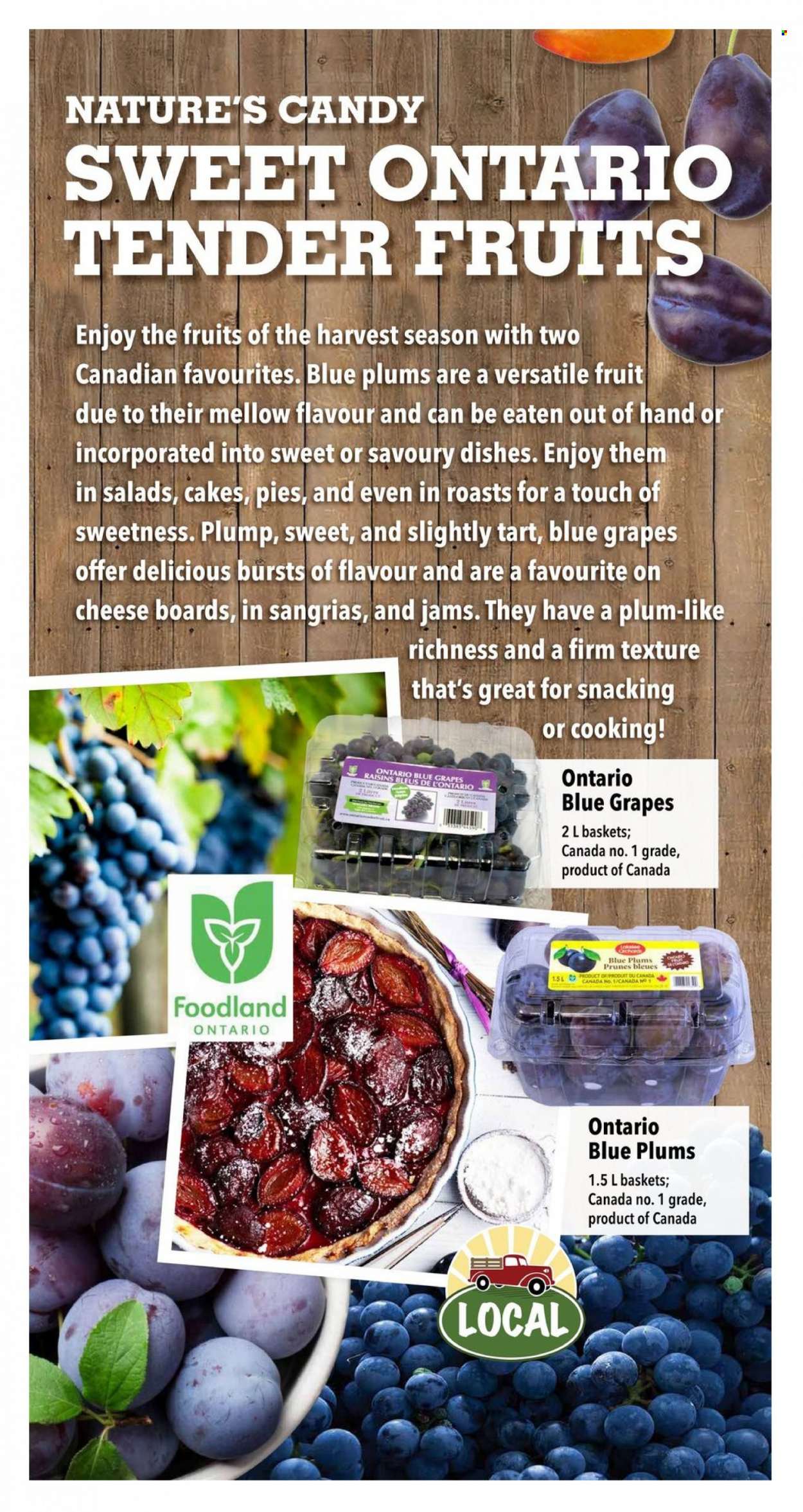 Farm Boy flyer - September 21, 2023 - September 27, 2023. Page 6