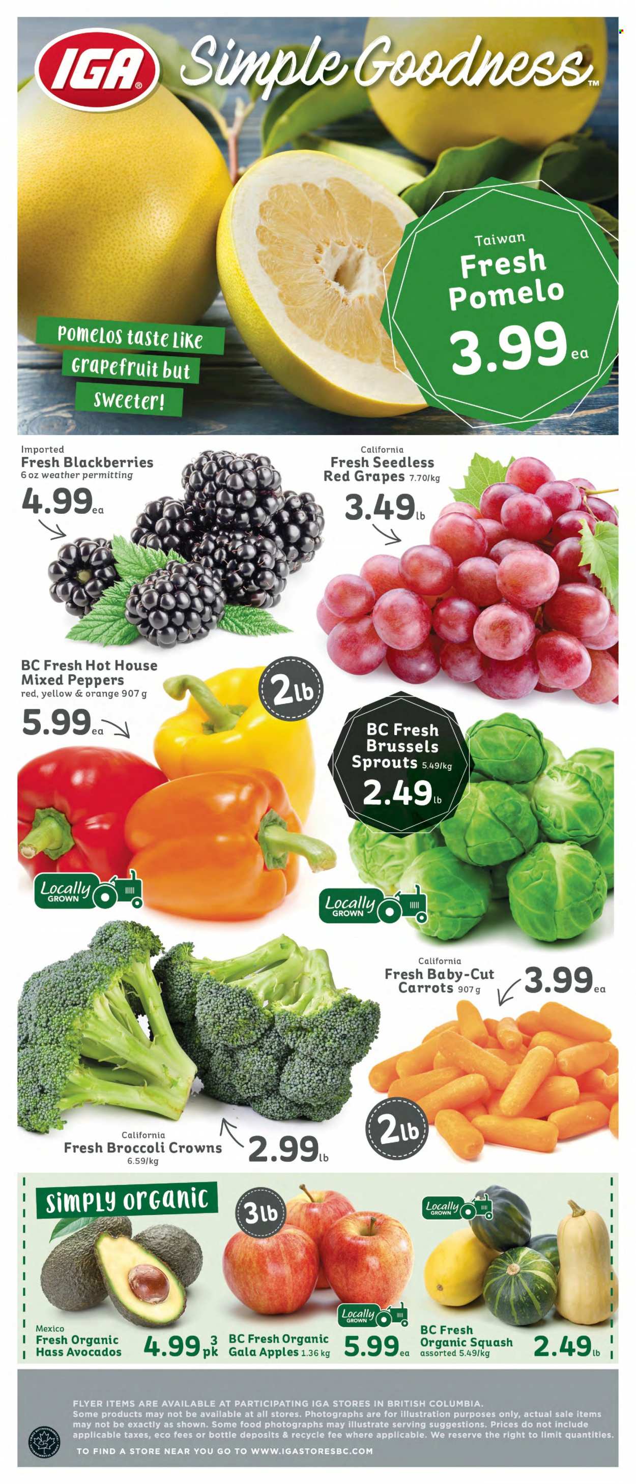 IGA Simple Goodness flyer - September 22, 2023 - September 28, 2023. Page 6
