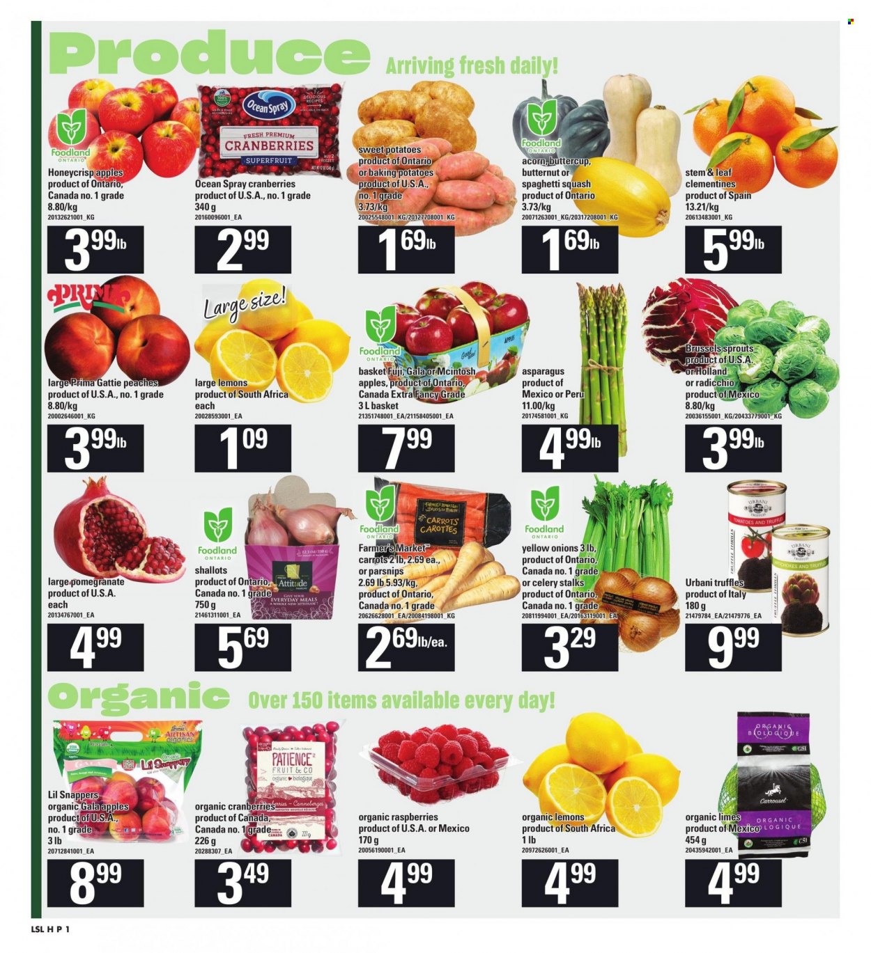 Loblaws flyer - September 28, 2023 - October 04, 2023. Page 7