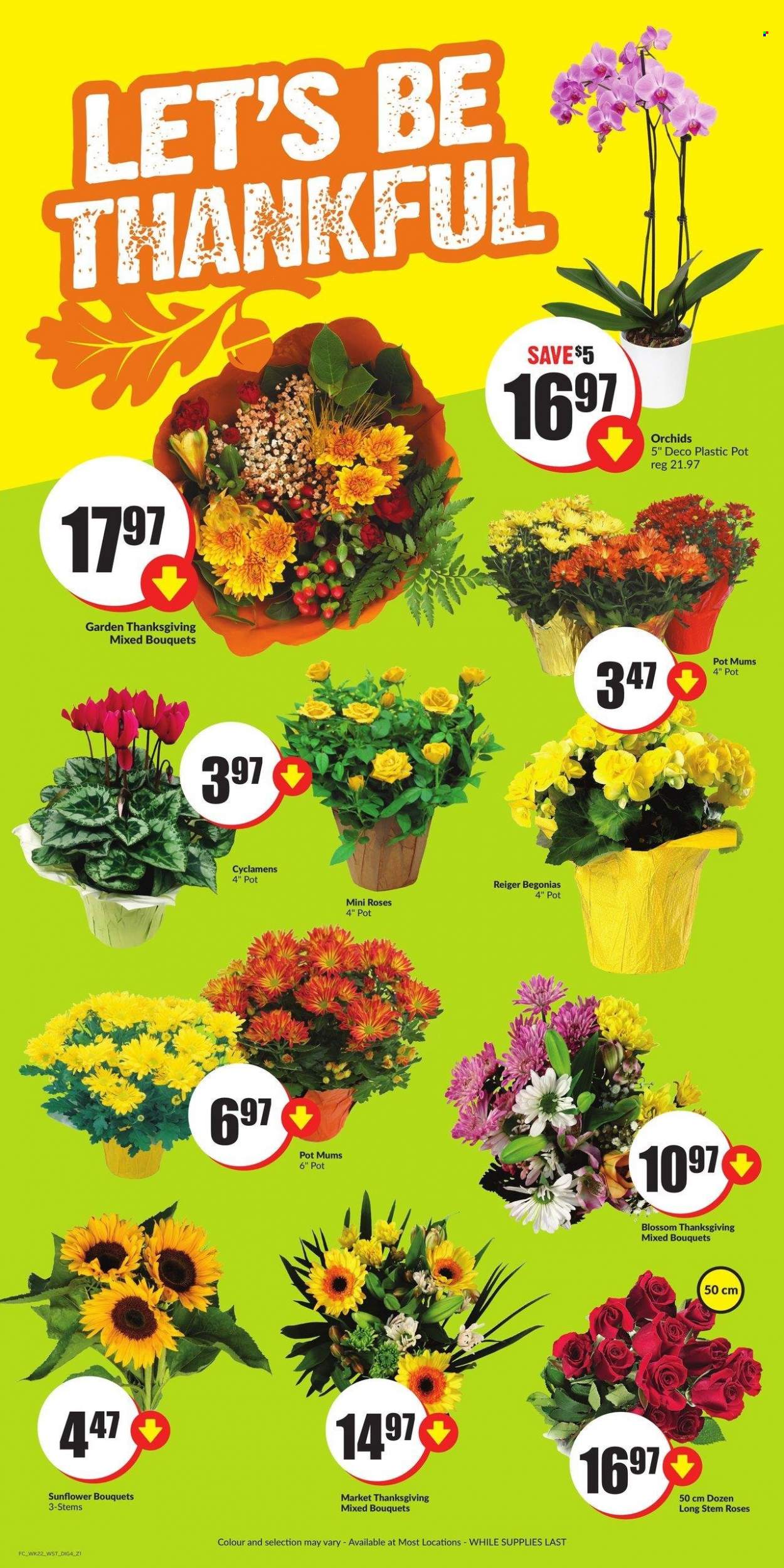 Chalo! FreshCo. flyer - September 28, 2023 - October 04, 2023. Page 13