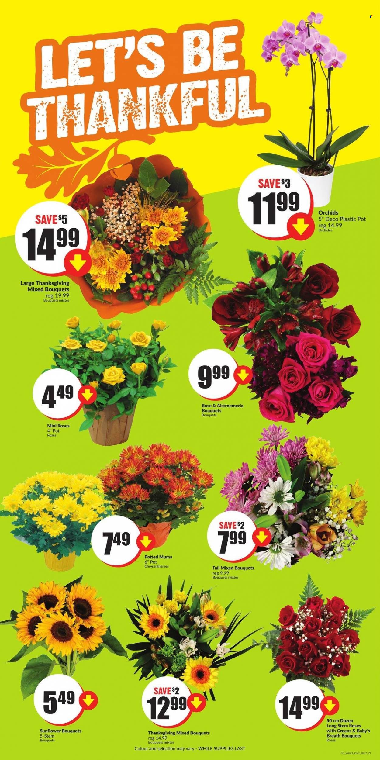 Chalo! FreshCo. flyer - October 05, 2023 - October 11, 2023. Page 14