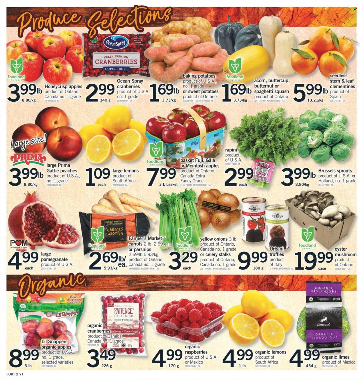 Fortinos flyer - October 05, 2023 - October 08, 2023. Page 3