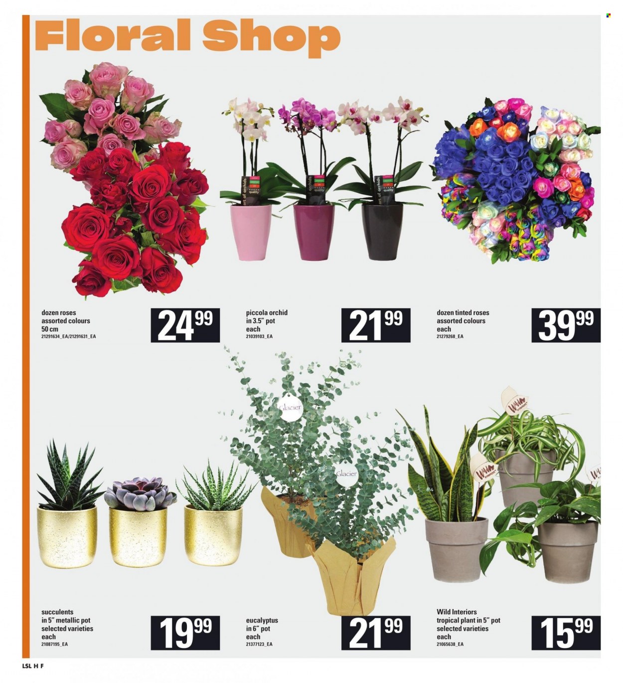 Loblaws flyer - October 12, 2023 - October 18, 2023. Page 11