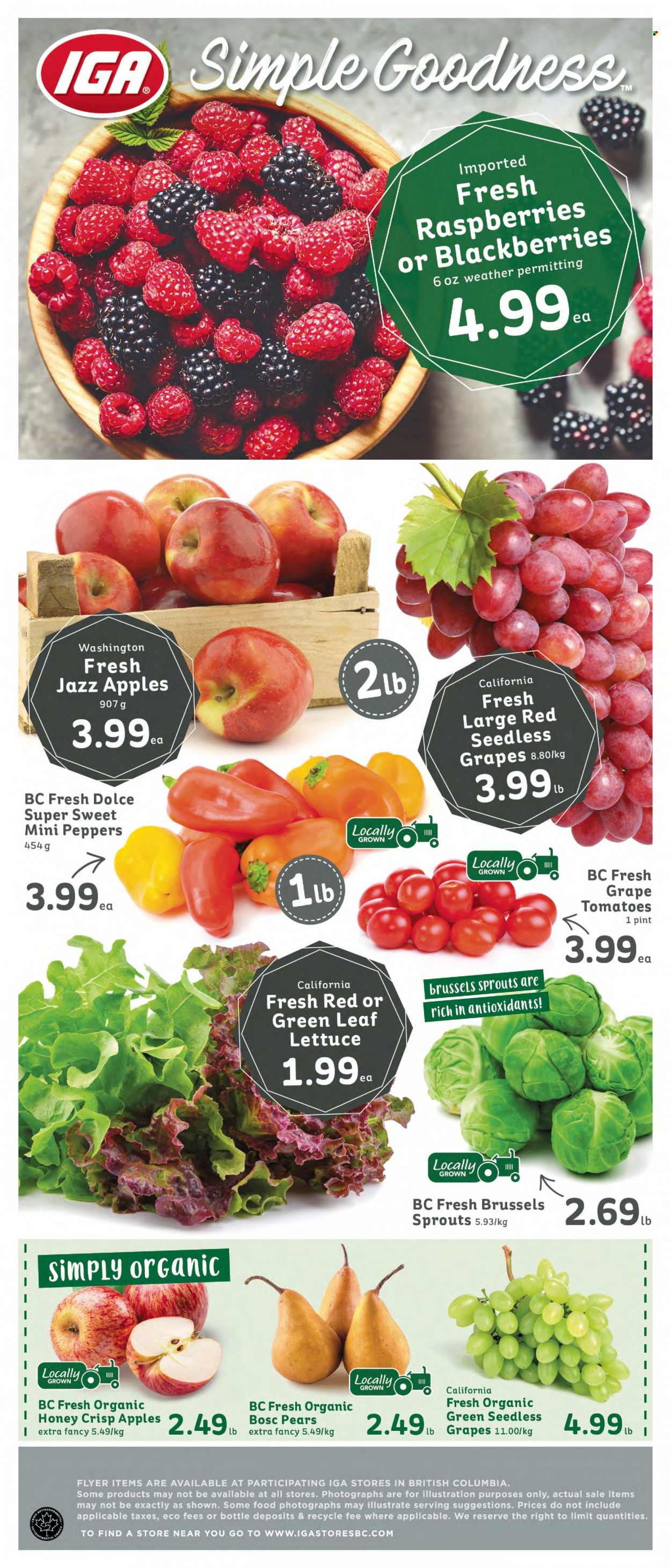 IGA Simple Goodness flyer - October 20, 2023 - October 26, 2023. Page 6