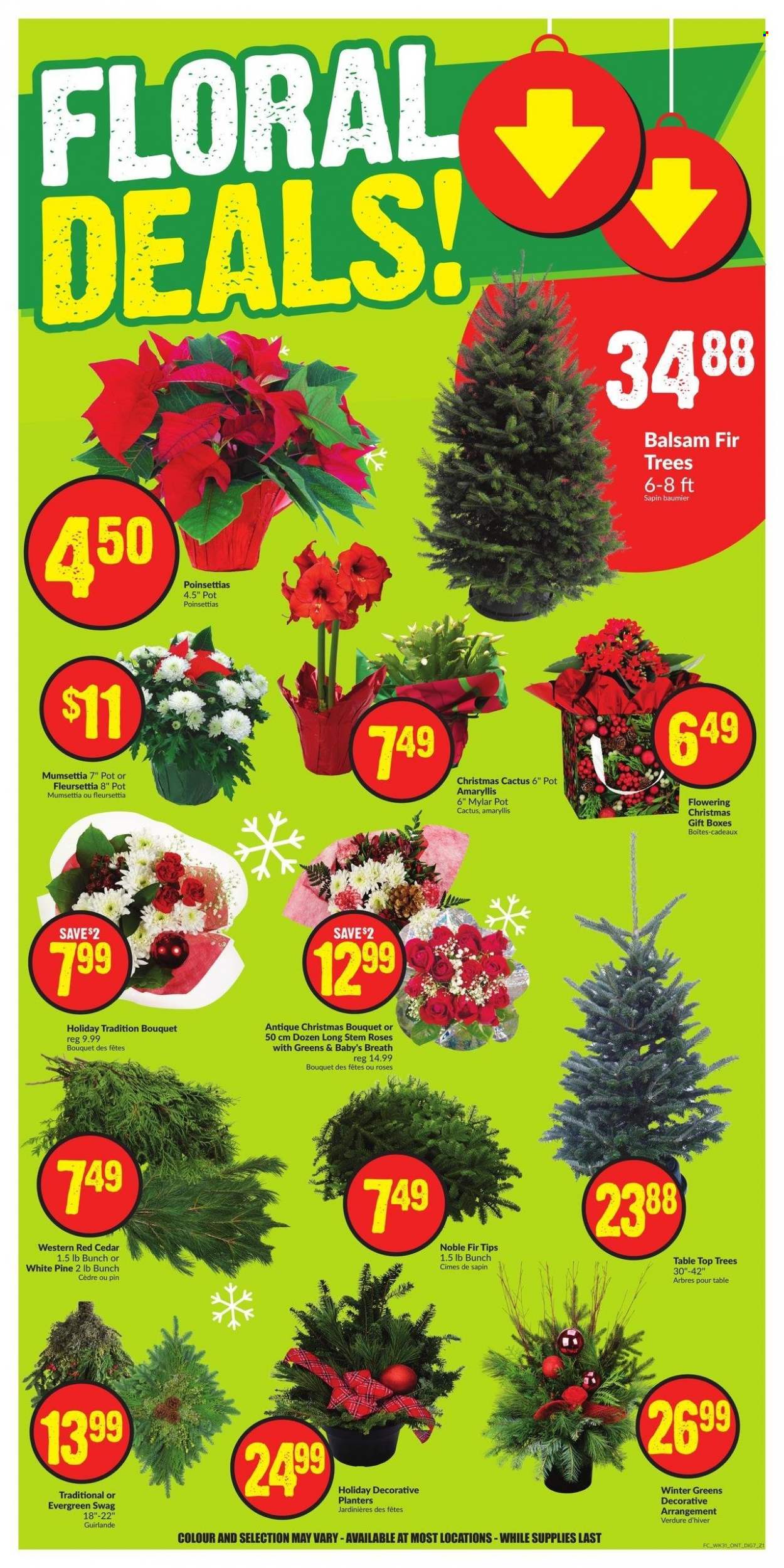 FreshCo. flyer - November 30, 2023 - December 06, 2023. Page 12
