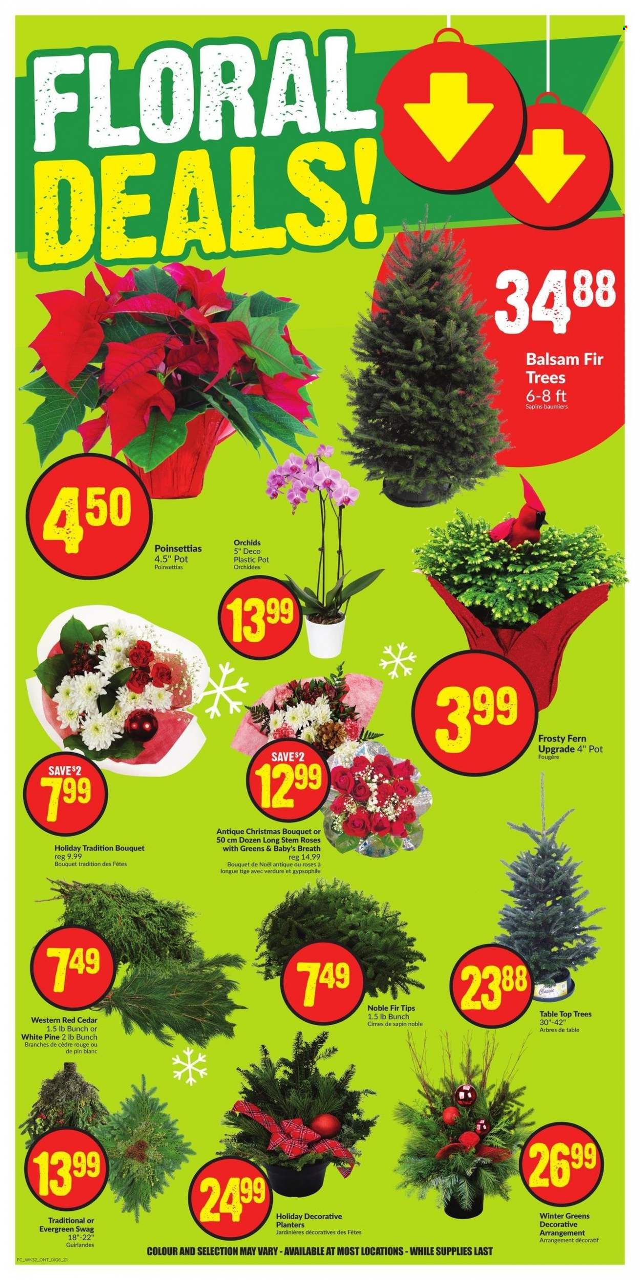 FreshCo. flyer - December 07, 2023 - December 13, 2023. Page 9