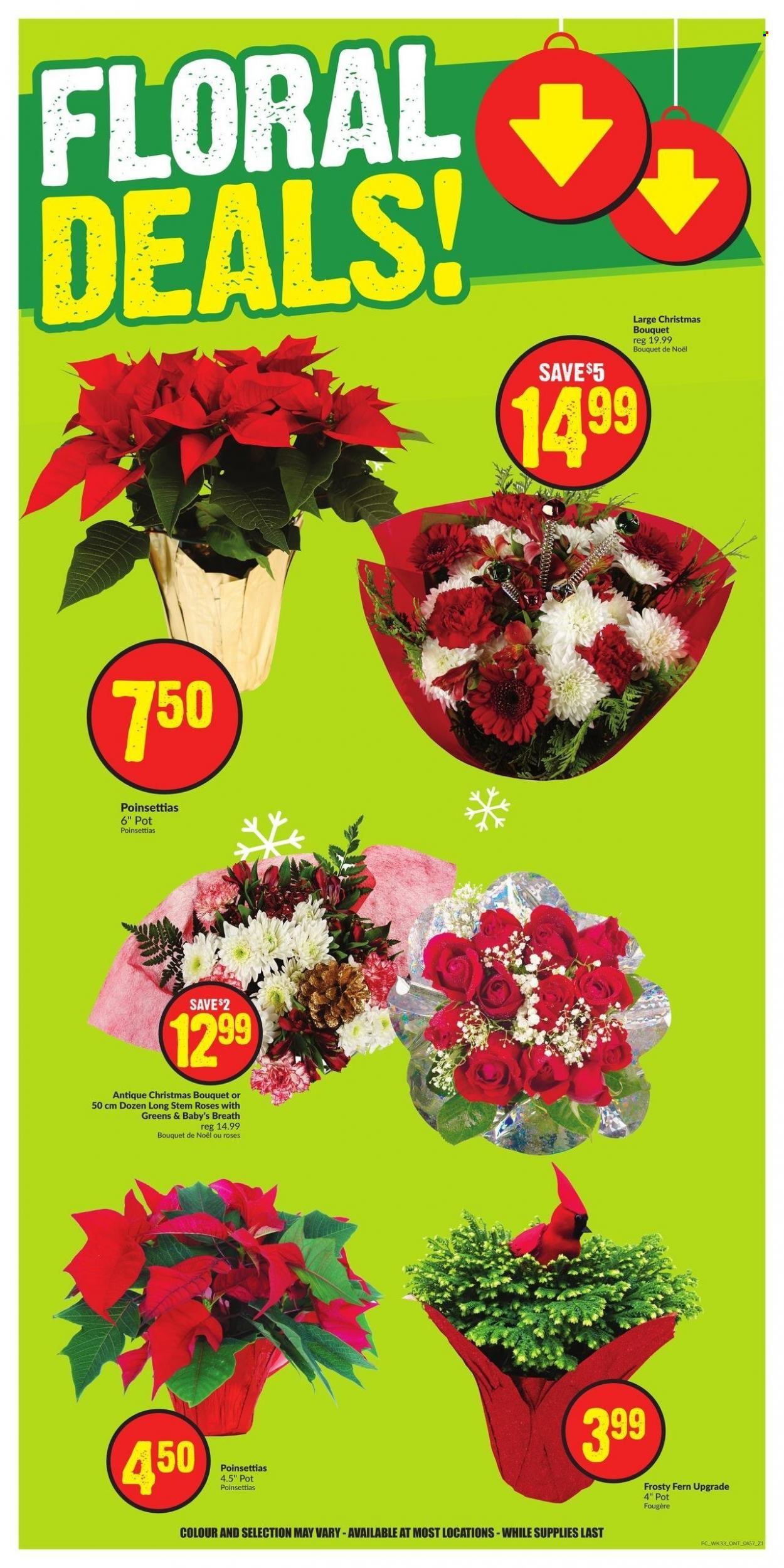 FreshCo. flyer - December 14, 2023 - December 20, 2023. Page 10