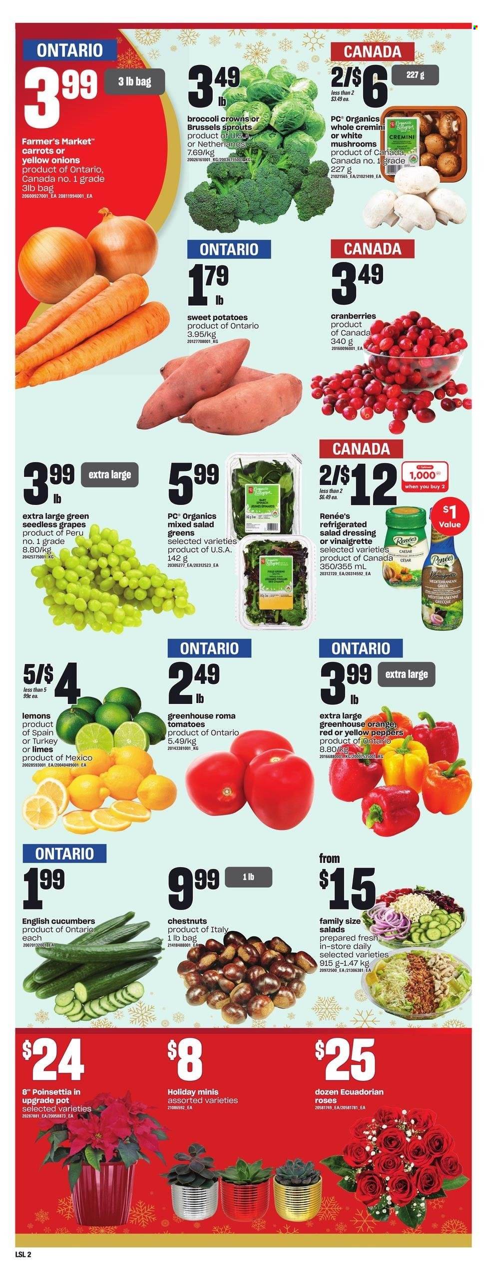 Loblaws flyer - December 14, 2023 - December 20, 2023. Page 3