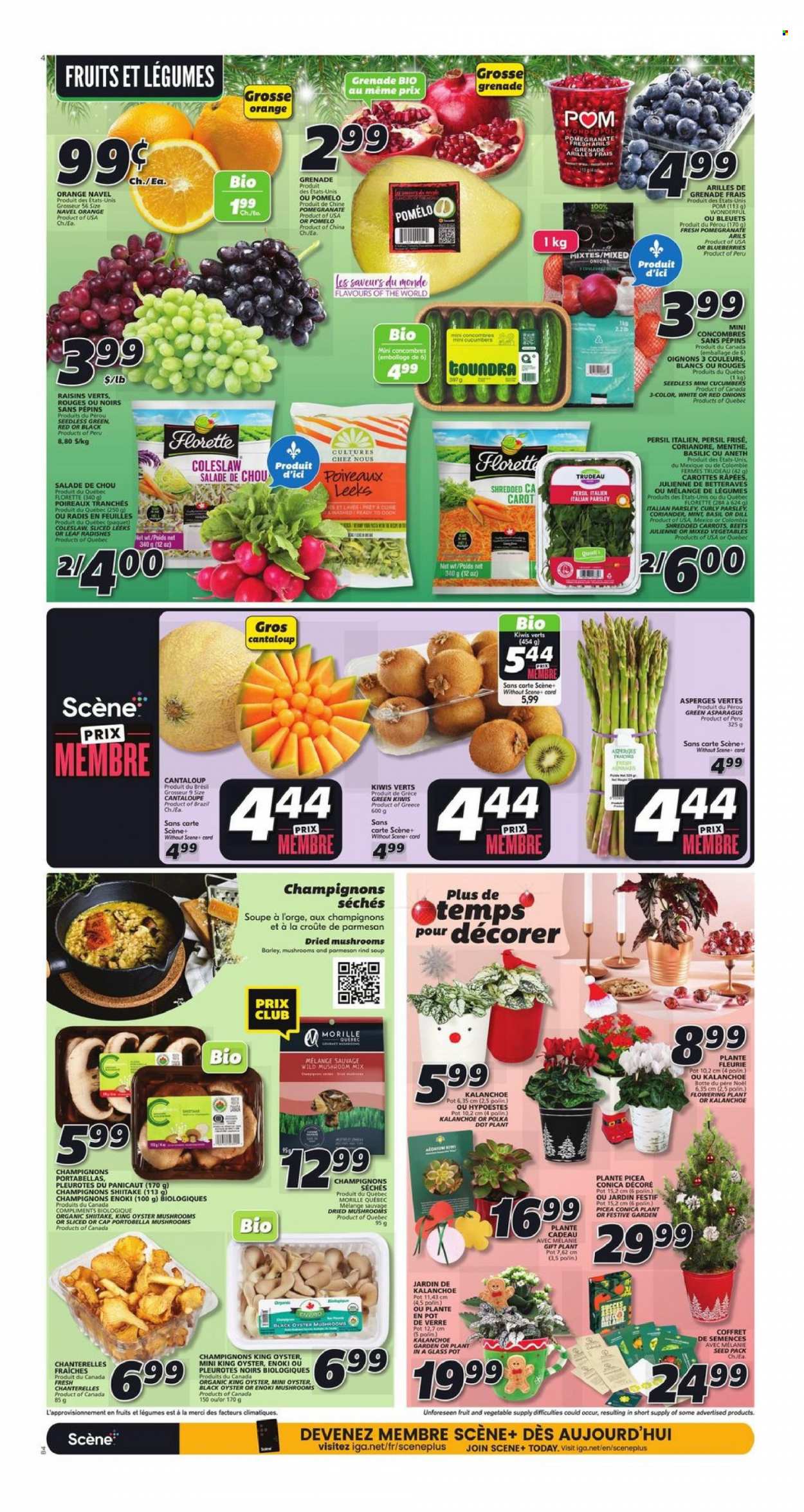 IGA flyer - December 14, 2023 - December 20, 2023. Page 5