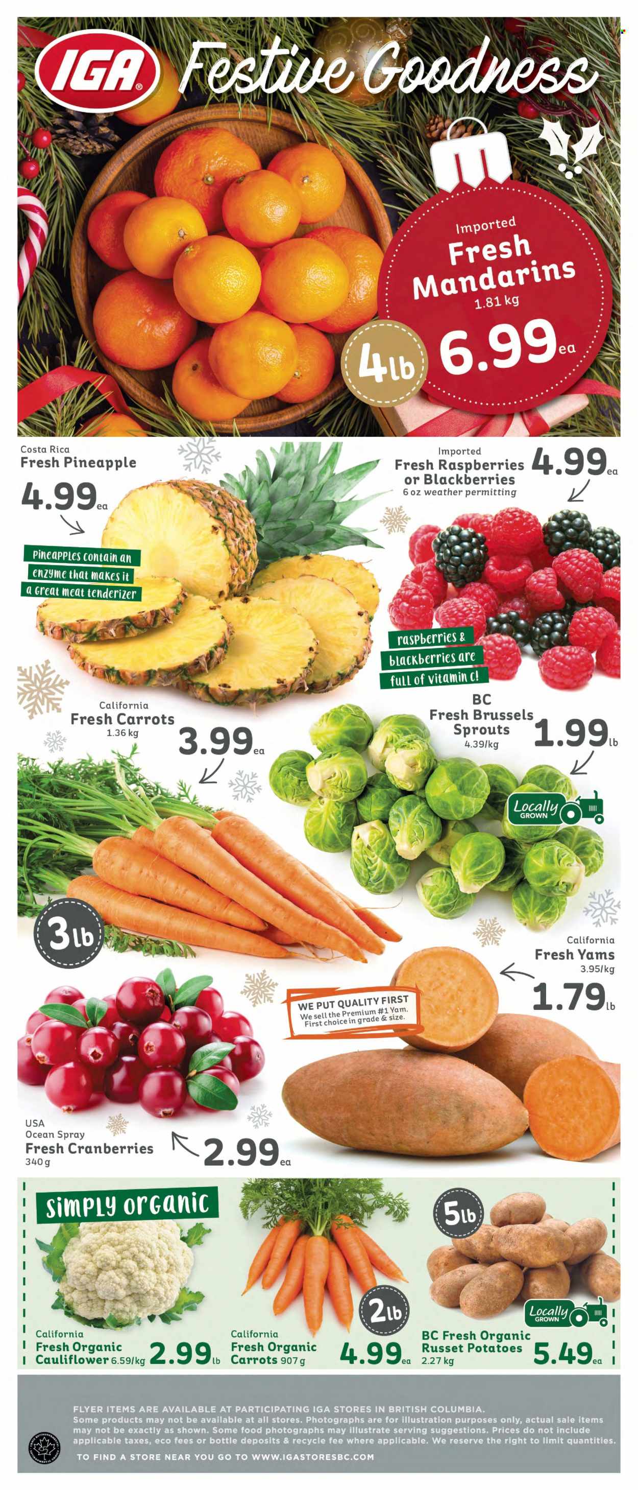 IGA Simple Goodness flyer - December 15, 2023 - December 21, 2023. Page 6