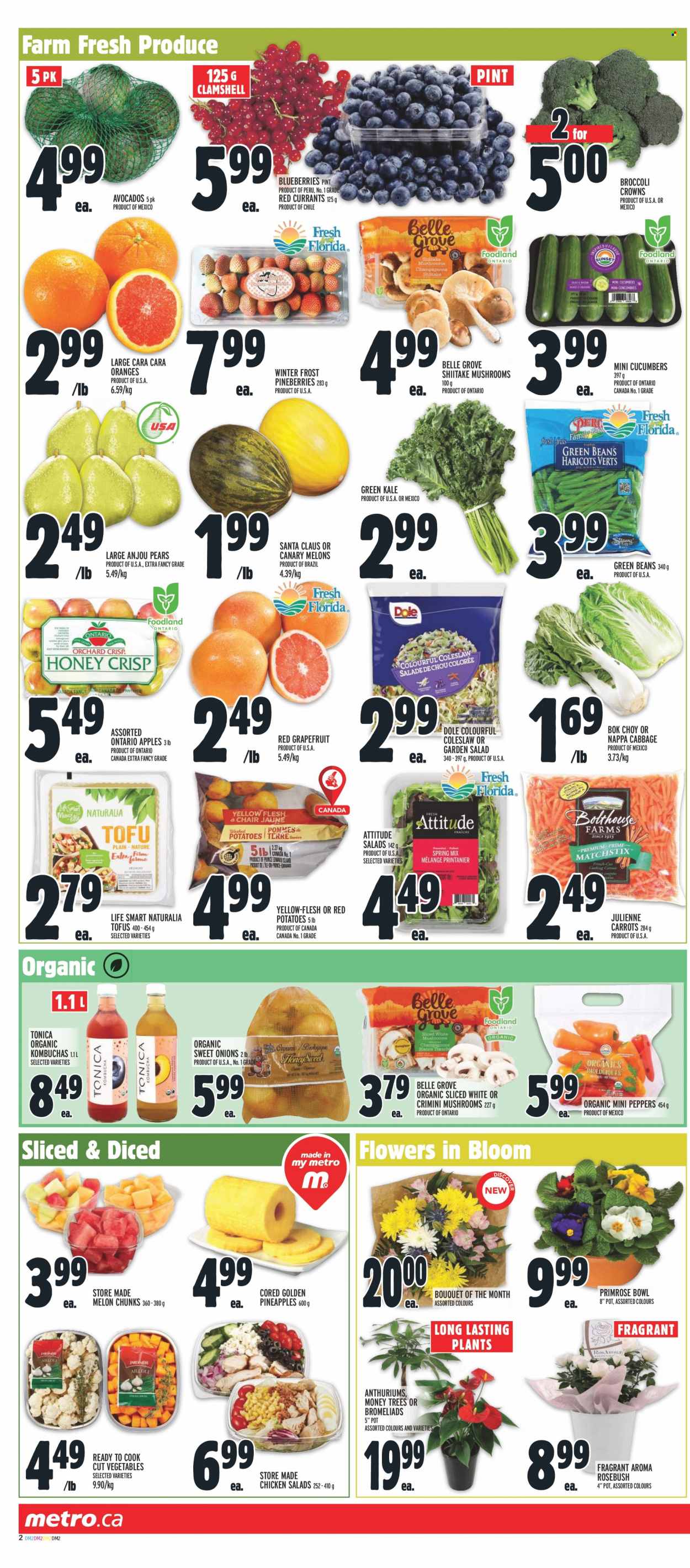 Metro flyer - January 04, 2024 - January 10, 2024. Page 5