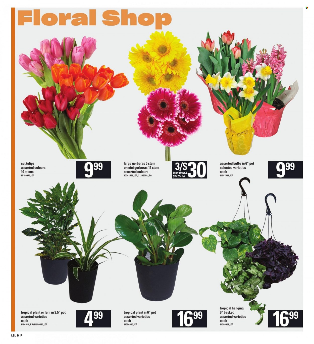 Loblaws flyer - January 04, 2024 - January 10, 2024. Page 10