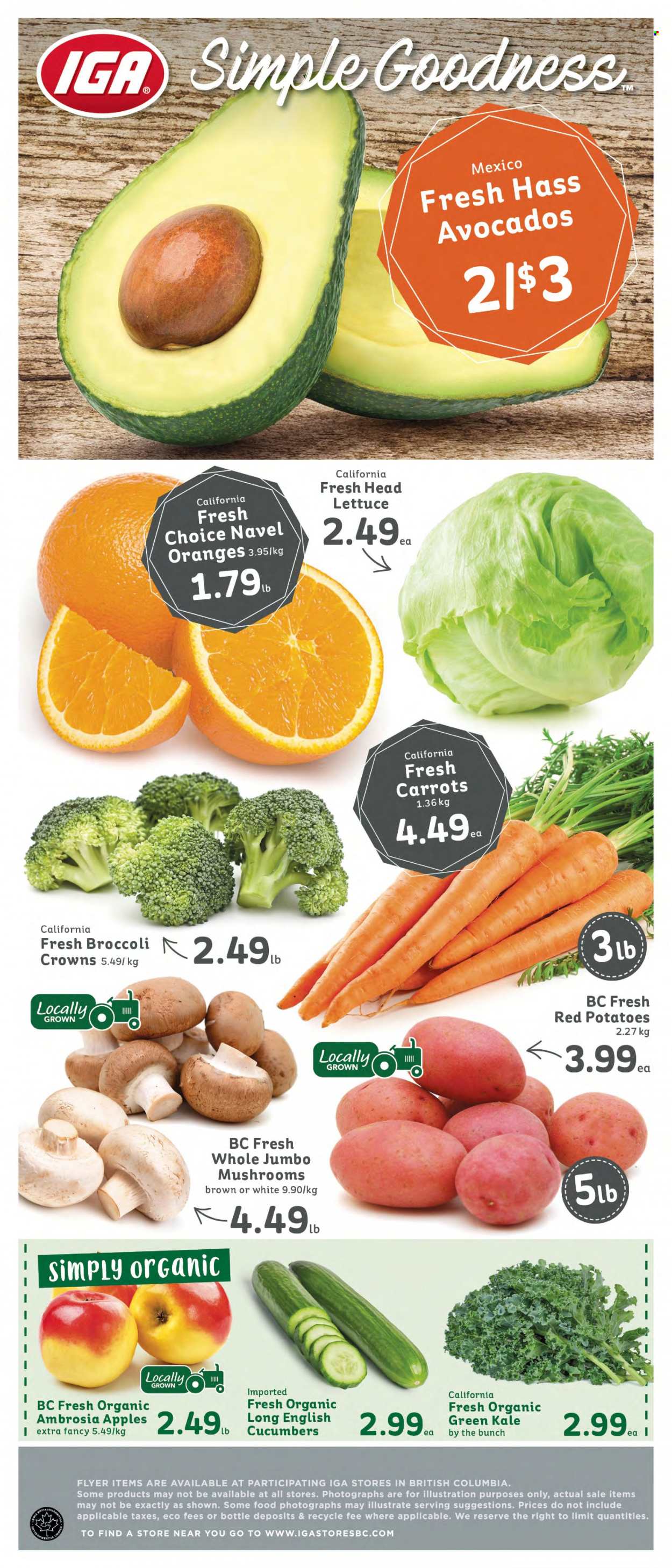Circulaire IGA Simple Goodness - 05 Janvier 2024 - 11 Janvier 2024. Page 6