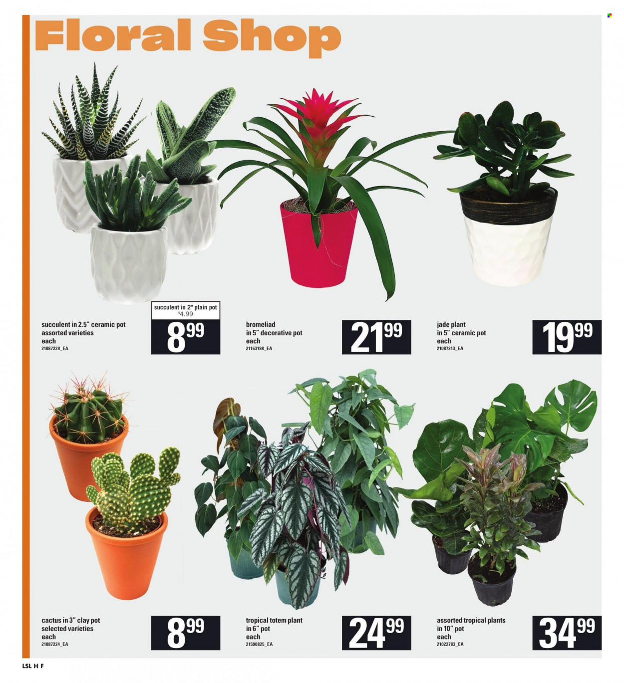 Loblaws flyer - January 11, 2024 - January 17, 2024. Page 8