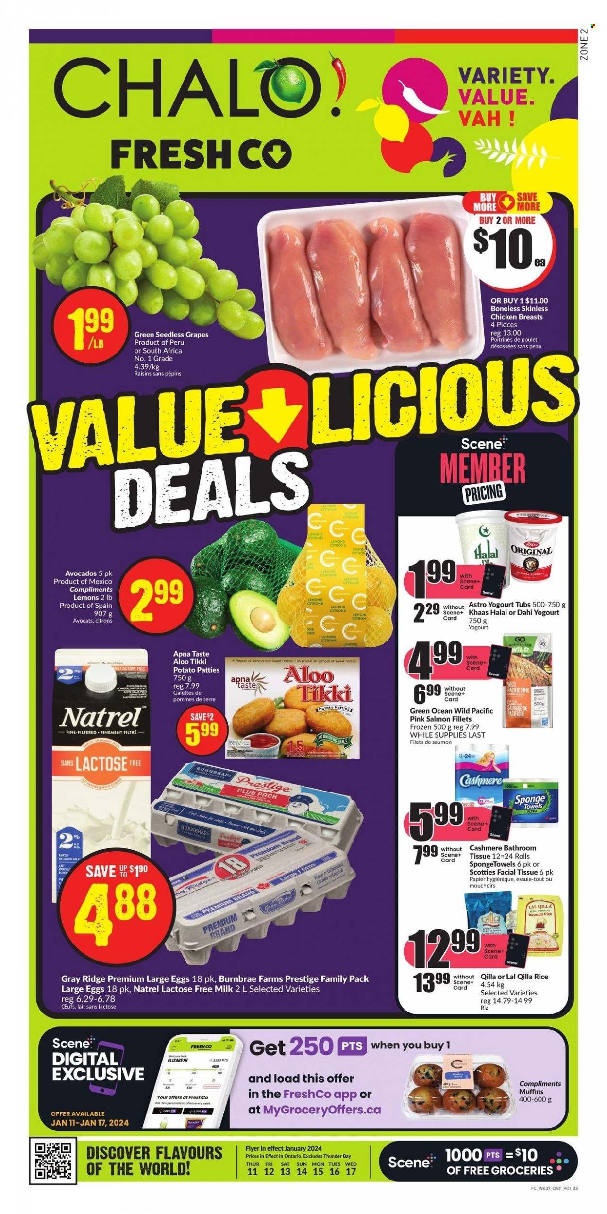 Chalo! FreshCo. flyer - January 11, 2024 - January 17, 2024. Page 1