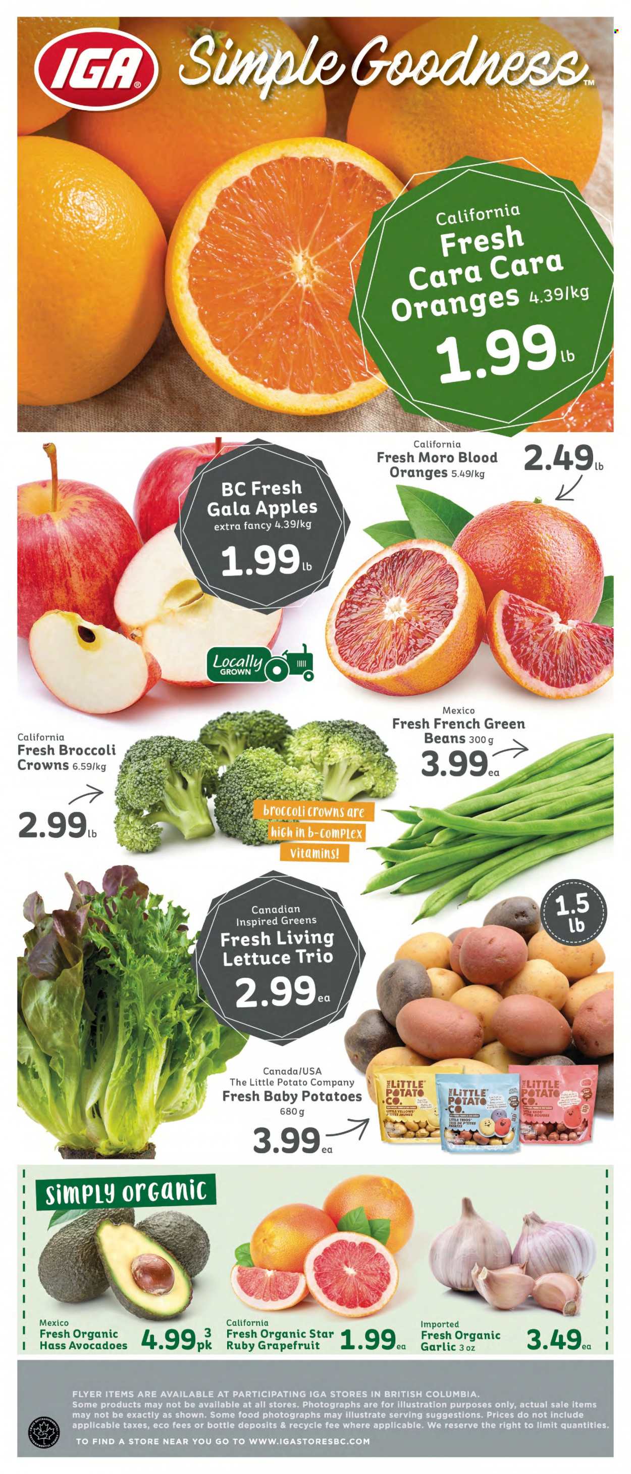 IGA Simple Goodness flyer - January 12, 2024 - January 18, 2024. Page 6