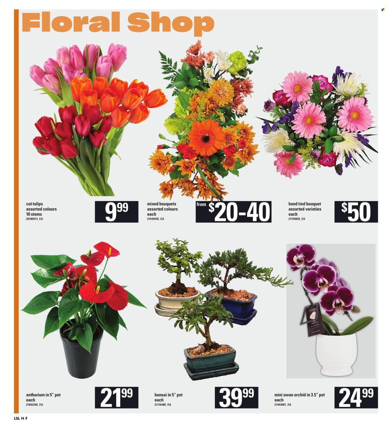 Loblaws flyer - January 25, 2024 - January 31, 2024. Page 8