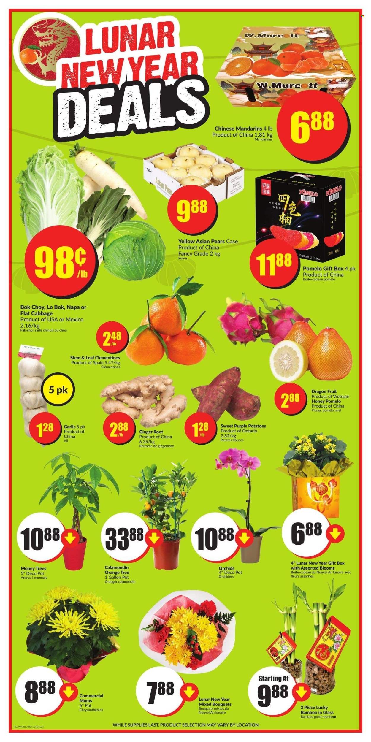 Chalo! FreshCo. flyer - February 01, 2024 - February 07, 2024. Page 10