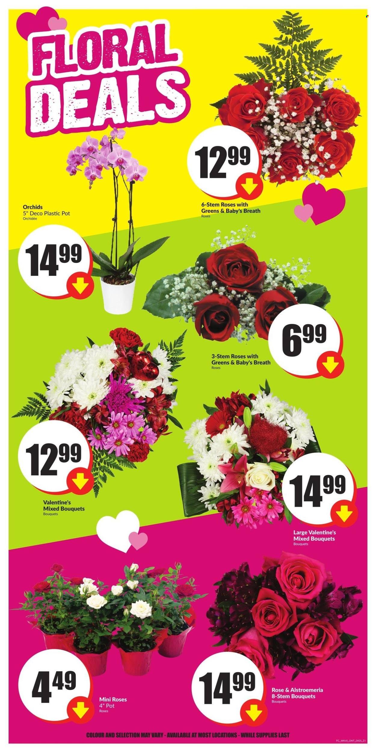FreshCo. flyer - February 08, 2024 - February 14, 2024. Page 8