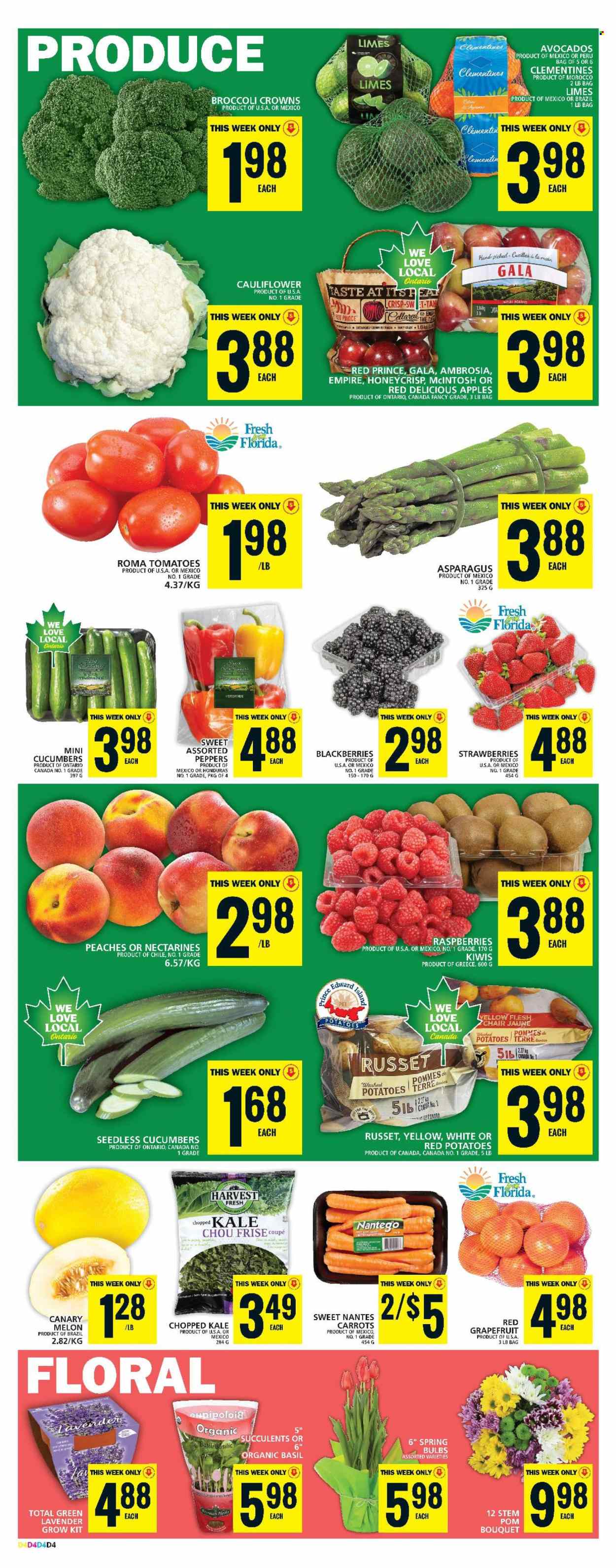 Food Basics flyer - February 15, 2024 - February 21, 2024. Page 7