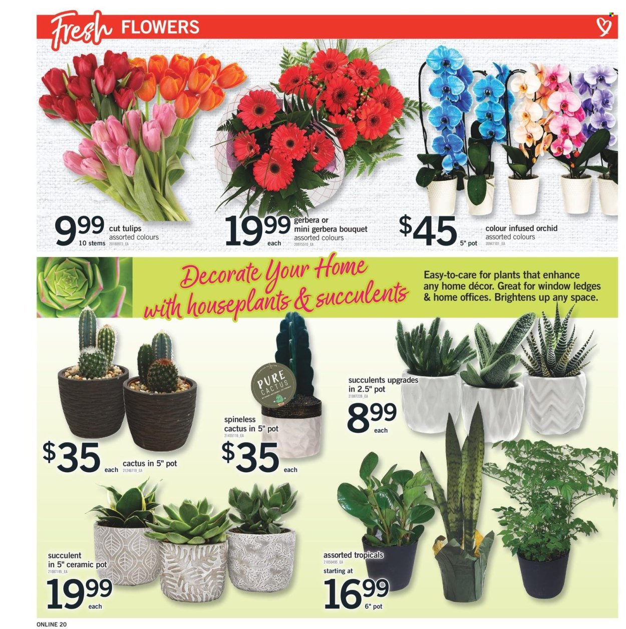 Fortinos flyer - February 22, 2024 - February 28, 2024. Page 19