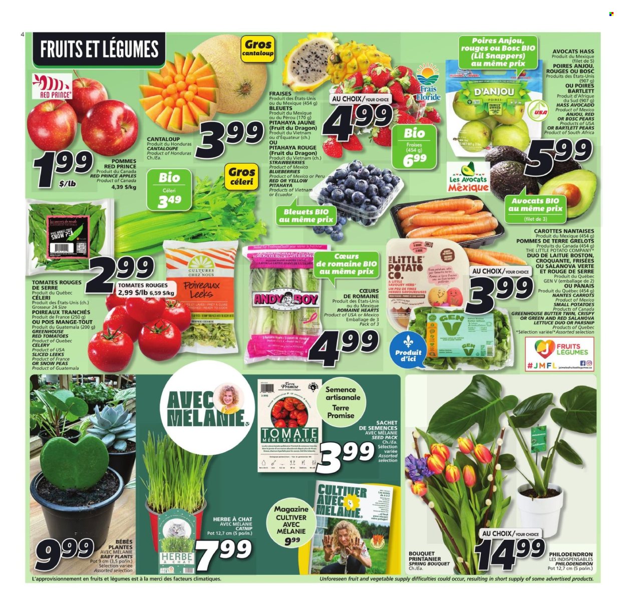 IGA flyer - March 07, 2024 - March 13, 2024. Page 4